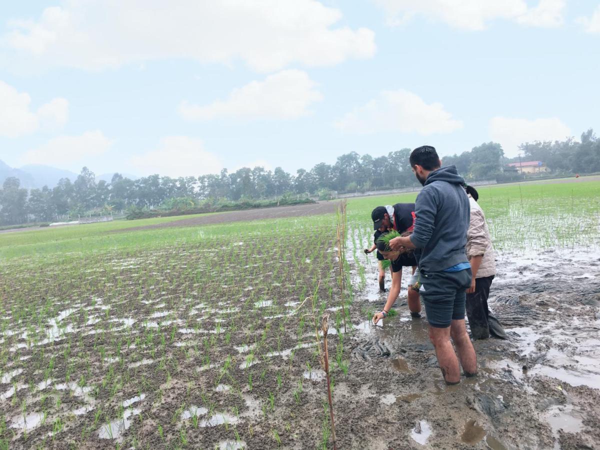 Nam Nhung Tam Coc Homestay Ninh Binh Buitenkant foto